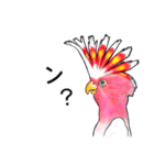 なんだか派手なクルマサカオウム（個別スタンプ：6）