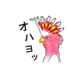 なんだか派手なクルマサカオウム（個別スタンプ：7）