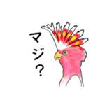 なんだか派手なクルマサカオウム（個別スタンプ：10）