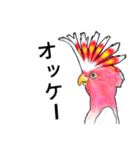 なんだか派手なクルマサカオウム（個別スタンプ：15）