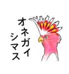 なんだか派手なクルマサカオウム（個別スタンプ：16）