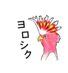 なんだか派手なクルマサカオウム（個別スタンプ：17）