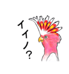 なんだか派手なクルマサカオウム（個別スタンプ：18）