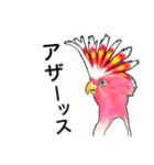なんだか派手なクルマサカオウム（個別スタンプ：20）