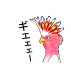 なんだか派手なクルマサカオウム（個別スタンプ：21）