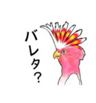 なんだか派手なクルマサカオウム（個別スタンプ：22）