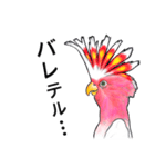 なんだか派手なクルマサカオウム（個別スタンプ：23）