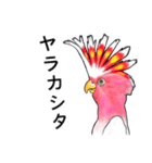 なんだか派手なクルマサカオウム（個別スタンプ：24）