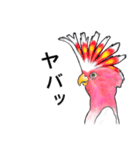 なんだか派手なクルマサカオウム（個別スタンプ：26）