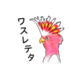 なんだか派手なクルマサカオウム（個別スタンプ：29）