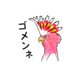 なんだか派手なクルマサカオウム（個別スタンプ：30）