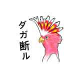 なんだか派手なクルマサカオウム（個別スタンプ：32）