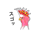 なんだか派手なクルマサカオウム（個別スタンプ：33）