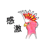 なんだか派手なクルマサカオウム（個別スタンプ：34）