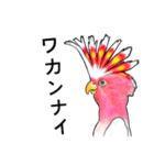なんだか派手なクルマサカオウム（個別スタンプ：35）