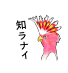 なんだか派手なクルマサカオウム（個別スタンプ：36）