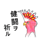 なんだか派手なクルマサカオウム（個別スタンプ：38）