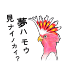 なんだか派手なクルマサカオウム（個別スタンプ：40）