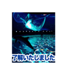 背景が動く▶︎✨元気で可愛いイルカショー✨（個別スタンプ：14）