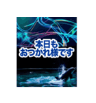 背景が動く▶︎✨元気で可愛いイルカショー✨（個別スタンプ：15）