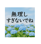 大切な人へ 心に届くメッセージを花と共に（個別スタンプ：12）