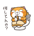 ランラン猫 30 (日本語)（個別スタンプ：1）
