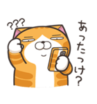 ランラン猫 30 (日本語)（個別スタンプ：3）