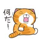 ランラン猫 30 (日本語)（個別スタンプ：5）