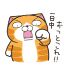 ランラン猫 30 (日本語)（個別スタンプ：7）