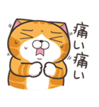 ランラン猫 30 (日本語)（個別スタンプ：13）