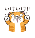 ランラン猫 30 (日本語)（個別スタンプ：15）