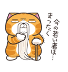 ランラン猫 30 (日本語)（個別スタンプ：17）