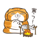 ランラン猫 30 (日本語)（個別スタンプ：21）