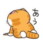 ランラン猫 30 (日本語)（個別スタンプ：25）