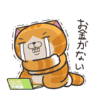 ランラン猫 30 (日本語)（個別スタンプ：27）