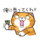 ランラン猫 30 (日本語)（個別スタンプ：31）