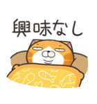 ランラン猫 30 (日本語)（個別スタンプ：37）