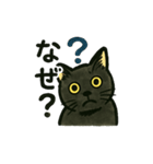 黒猫兄弟ココピー（個別スタンプ：5）
