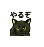 黒猫兄弟ココピー（個別スタンプ：6）