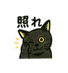 黒猫兄弟ココピー（個別スタンプ：7）