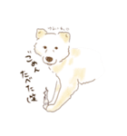 田舎のMIX犬くん（個別スタンプ：6）