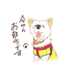 田舎のMIX犬くん（個別スタンプ：8）