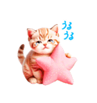 毎日使える 感情を伝えるねこ 日常（個別スタンプ：3）