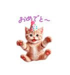 毎日使える 感情を伝えるねこ 日常（個別スタンプ：17）