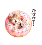 毎日使える 感情を伝えるねこ 日常（個別スタンプ：31）