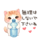猫がいっぱい♡カラフル夏スタンプ（個別スタンプ：19）