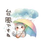 猫がいっぱい♡カラフル夏スタンプ（個別スタンプ：20）