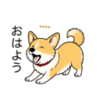 名前入りコーギーしっぽあり（個別スタンプ：2）