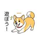 名前入りコーギーしっぽあり（個別スタンプ：3）