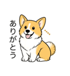 名前入りコーギーしっぽあり（個別スタンプ：4）